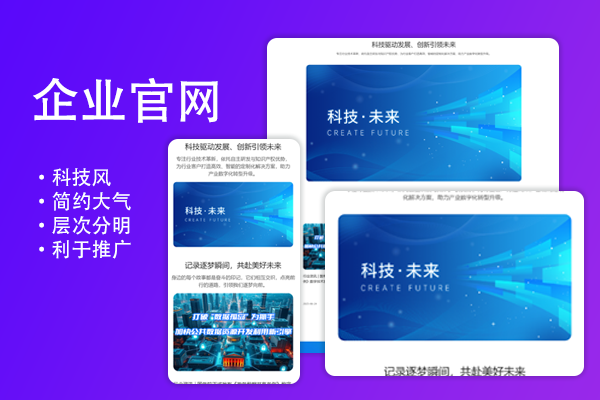 企业资源规划系统